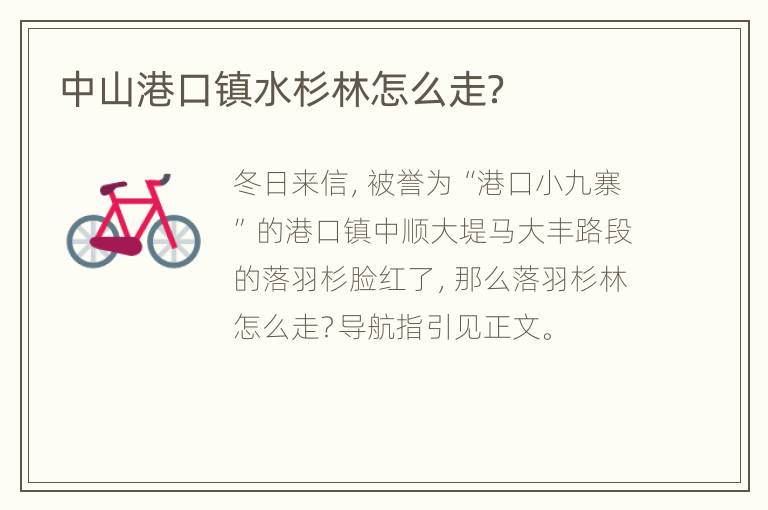 中山港口镇水杉林怎么走？