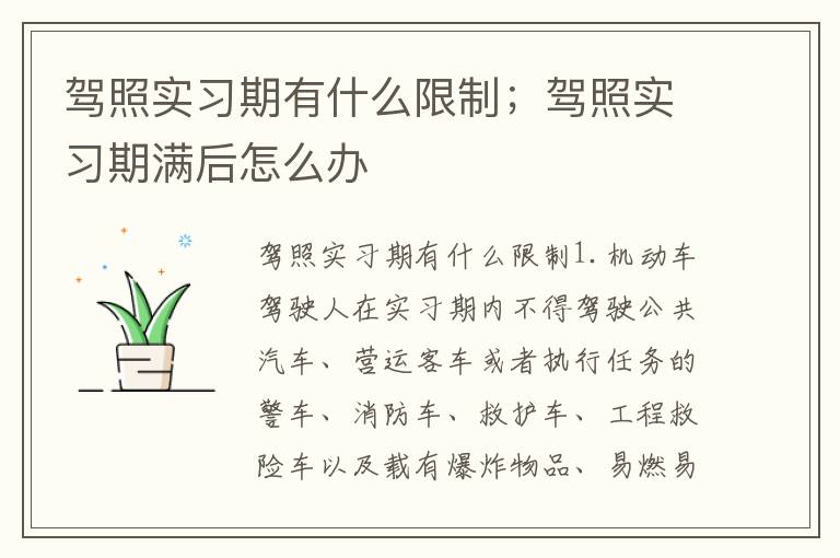 驾照实习期有什么限制；驾照实习期满后怎么办