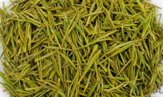 黄芽茶的功效与作用禁忌 黄芽茶的功效与作用禁忌是什么