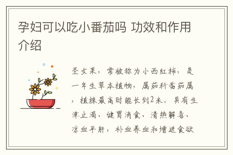 孕妇可以吃小番茄吗 功效和作用介绍