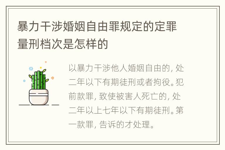 暴力干涉婚姻自由罪规定的定罪量刑档次是怎样的