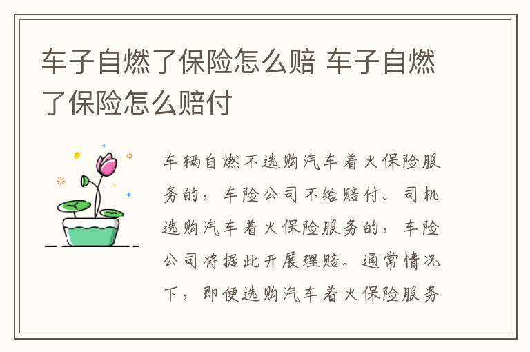 车子自燃了保险怎么赔 车子自燃了保险怎么赔付