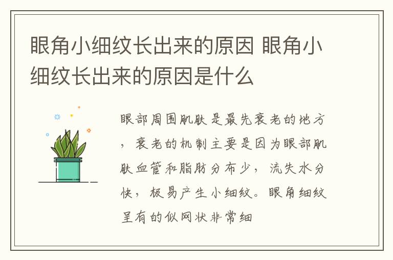 眼角小细纹长出来的原因 眼角小细纹长出来的原因是什么