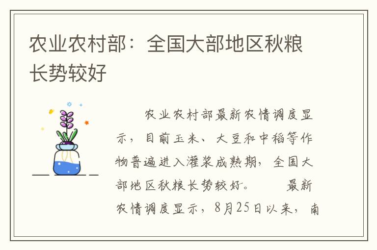 农业农村部：全国大部地区秋粮长势较好