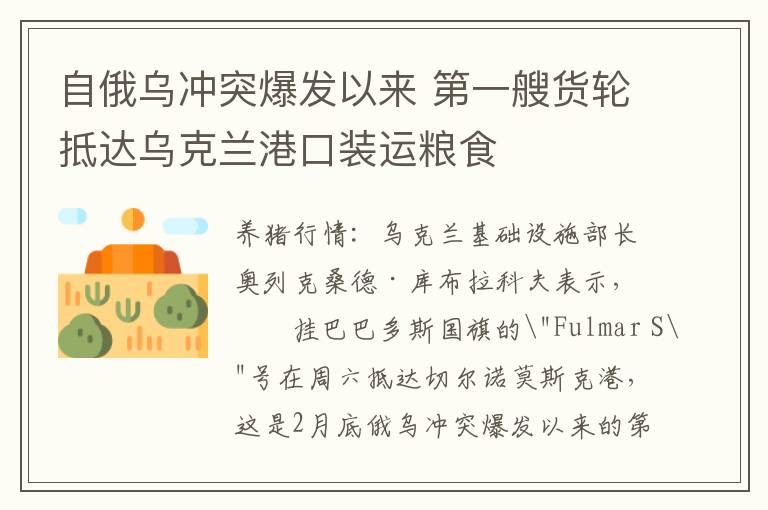 自俄乌冲突爆发以来 第一艘货轮抵达乌克兰港口装运粮食