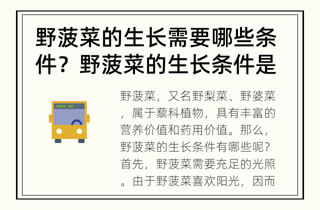 野菠菜的生长需要哪些条件？ 野菠菜的生长条件是什么？