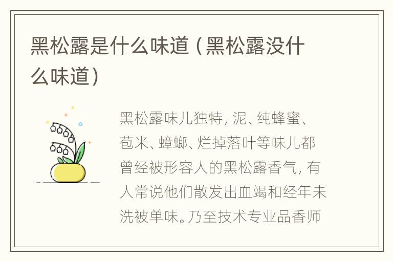 黑松露是什么味道（黑松露没什么味道）