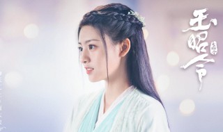 玉昭令电视剧演员表 玉昭令电视剧简介