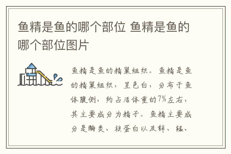 鱼精是鱼的哪个部位 鱼精是鱼的哪个部位图片