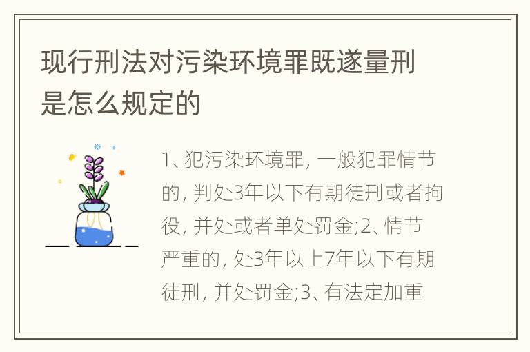 现行刑法对污染环境罪既遂量刑是怎么规定的