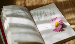 卜算子苏轼 卜算子苏轼原文翻译