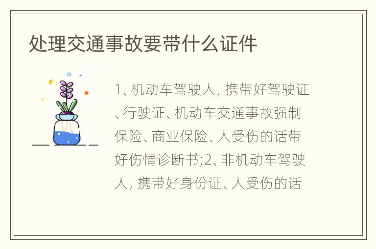 处理交通事故要带什么证件
