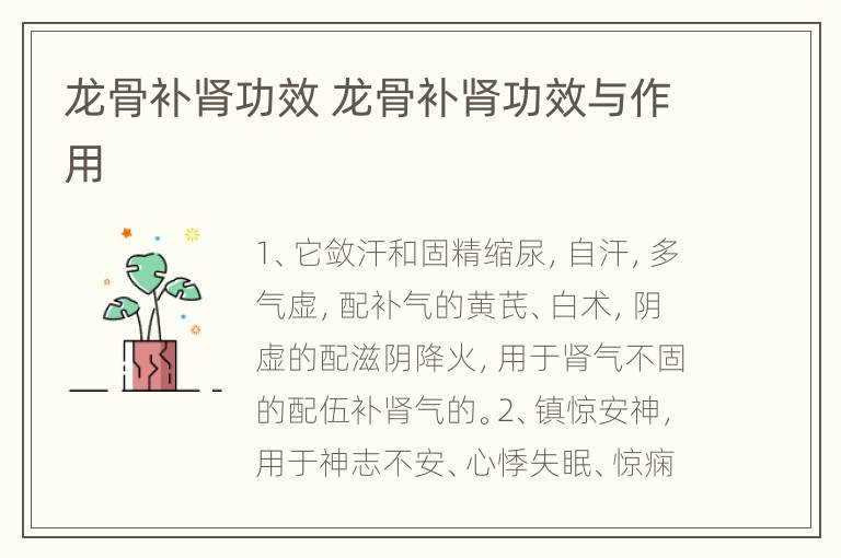 龙骨补肾功效 龙骨补肾功效与作用