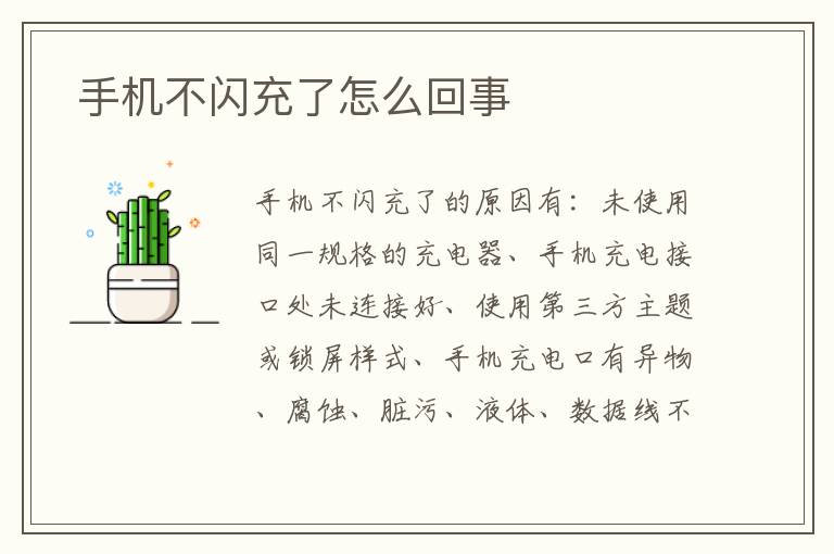 手机不闪充了怎么回事