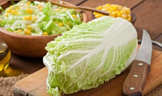 春天白菜怎么保鲜 如何保存大白菜