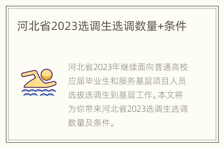 河北省2023选调生选调数量+条件