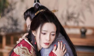 玉昭令结局 玉昭令结局是什么