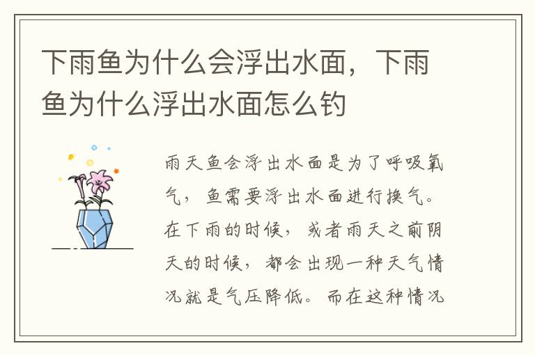 下雨鱼为什么会浮出水面，下雨鱼为什么浮出水面怎么钓