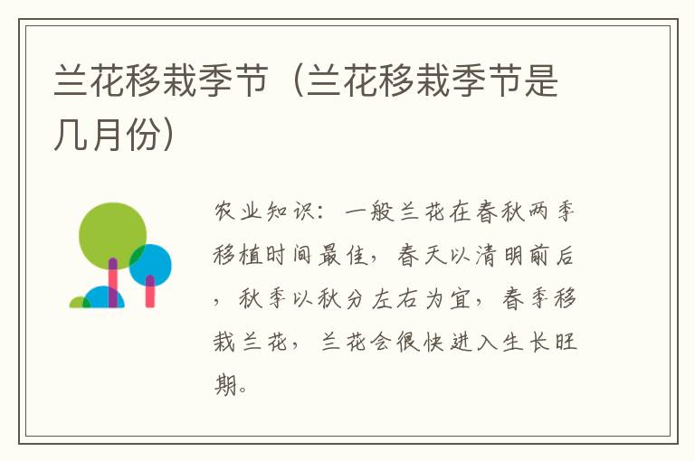 兰花移栽季节（兰花移栽季节是几月份）