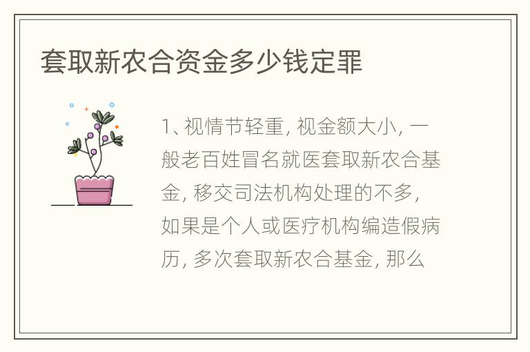 套取新农合资金多少钱定罪