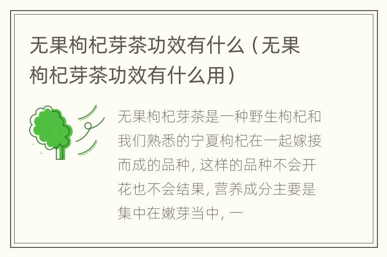 无果枸杞芽茶功效有什么（无果枸杞芽茶功效有什么用）