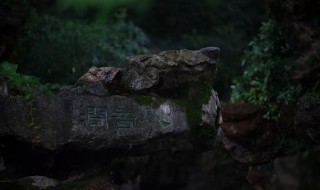 空谷是什么意思 空谷指什么