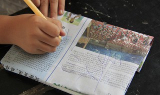 林北是什么意思什么梗 林北的解释