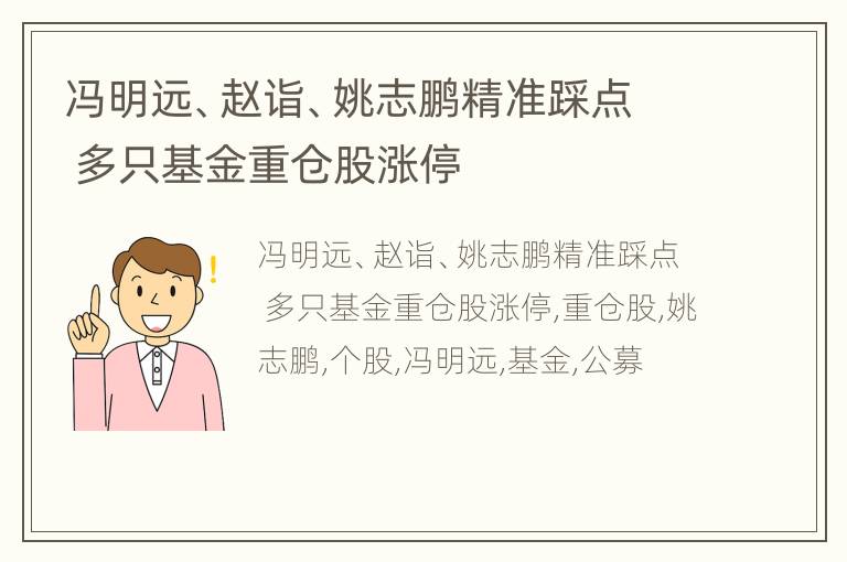 冯明远、赵诣、姚志鹏精准踩点 多只基金重仓股涨停