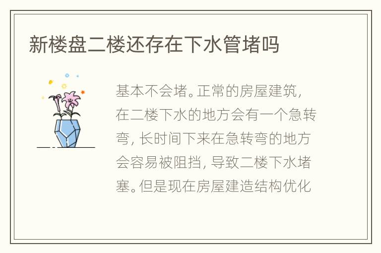 新楼盘二楼还存在下水管堵吗