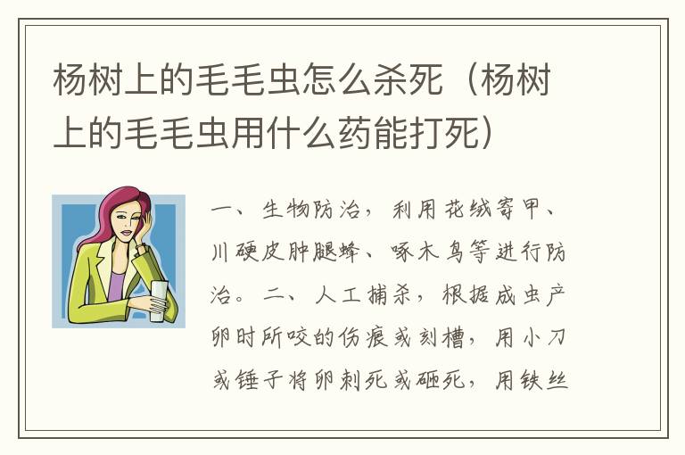 杨树上的毛毛虫怎么杀死（杨树上的毛毛虫用什么药能打死）