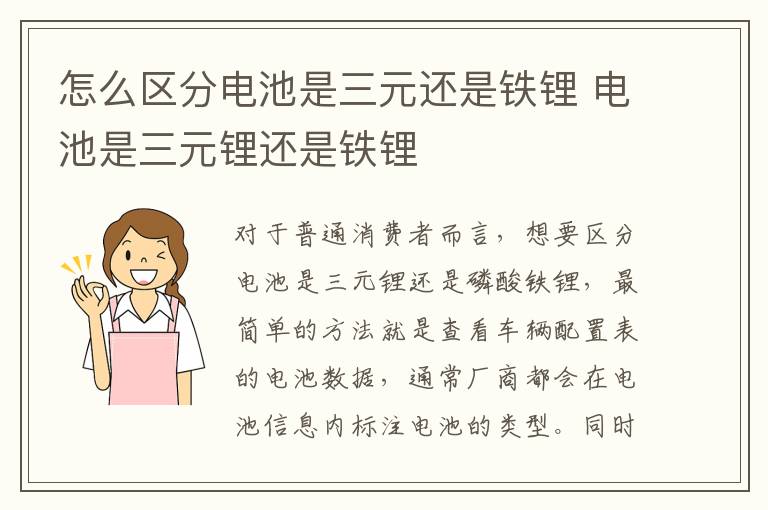怎么区分电池是三元还是铁锂 电池是三元锂还是铁锂