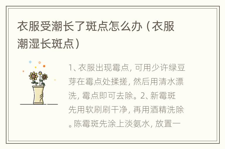 衣服受潮长了斑点怎么办（衣服潮湿长斑点）