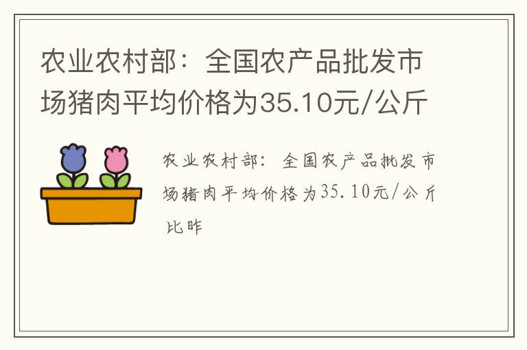 农业农村部：全国农产品批发市场猪肉平均价格为35.10元/公斤 比昨