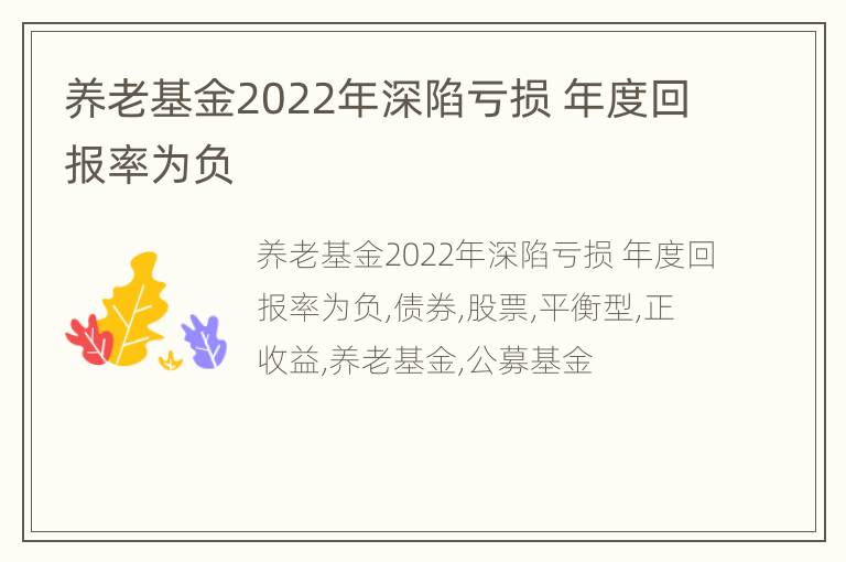 养老基金2022年深陷亏损 年度回报率为负