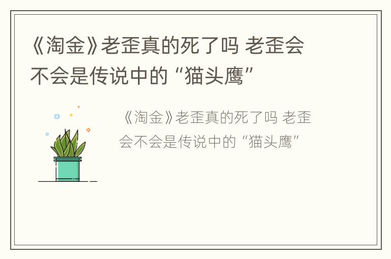 《淘金》老歪真的死了吗 老歪会不会是传说中的“猫头鹰”
