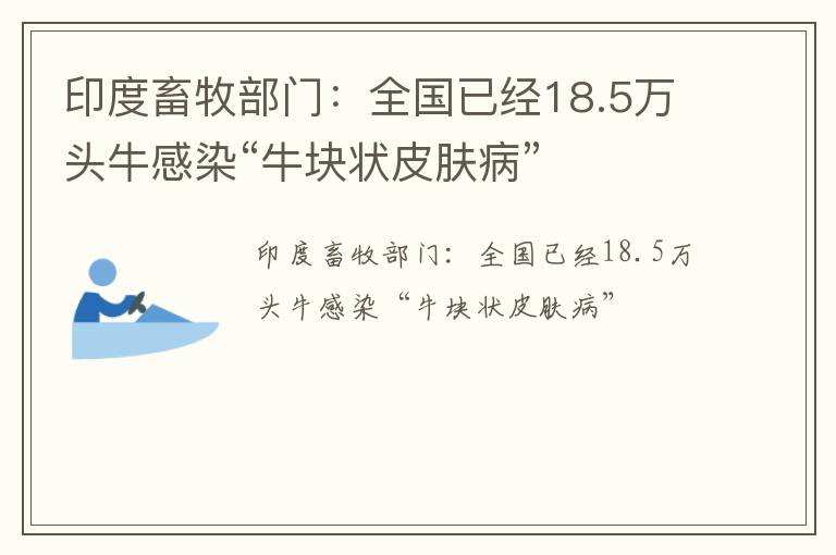 印度畜牧部门：全国已经18.5万头牛感染“牛块状皮肤病”