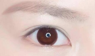 眼睛的类型有几种? 眼睛的类型有多少种