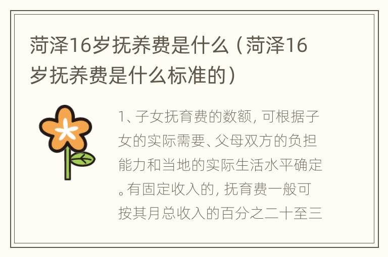 菏泽16岁抚养费是什么（菏泽16岁抚养费是什么标准的）