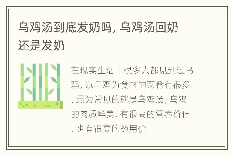 乌鸡汤到底发奶吗，乌鸡汤回奶还是发奶