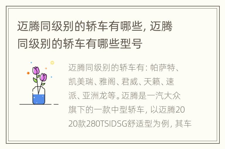 迈腾同级别的轿车有哪些，迈腾同级别的轿车有哪些型号