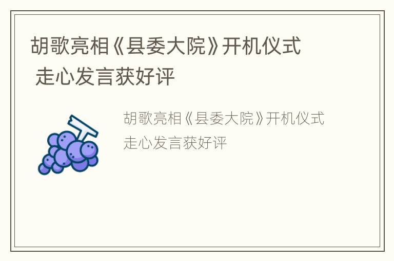 胡歌亮相《县委大院》开机仪式 走心发言获好评