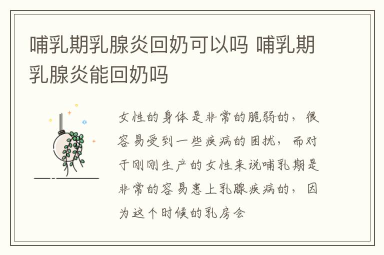哺乳期乳腺炎回奶可以吗 哺乳期乳腺炎能回奶吗