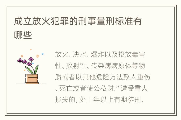 成立放火犯罪的刑事量刑标准有哪些