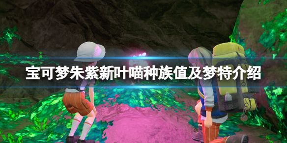 宝可梦朱紫新叶喵性格有哪些-新叶喵种族值及梦特介绍