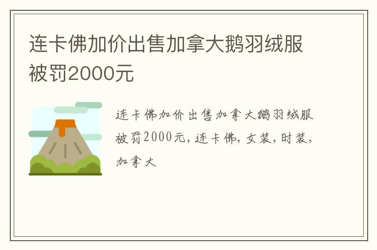 连卡佛加价出售加拿大鹅羽绒服被罚2000元