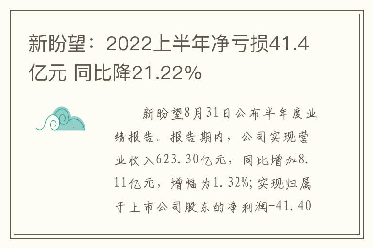 新盼望：2022上半年净亏损41.4亿元 同比降21.22%