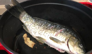 萝卜烧鲫鱼做法步骤 萝卜烧鲫鱼怎么做
