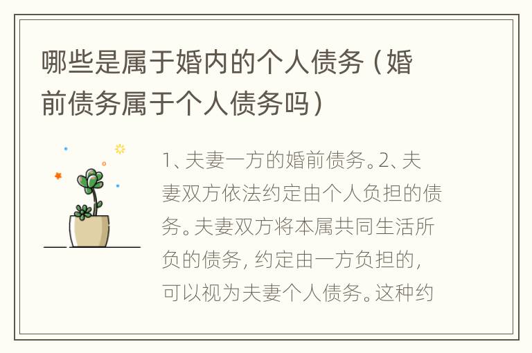 哪些是属于婚内的个人债务（婚前债务属于个人债务吗）