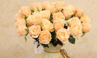 玫瑰花香槟色花语是什么 关于玫瑰花香槟色花语介绍