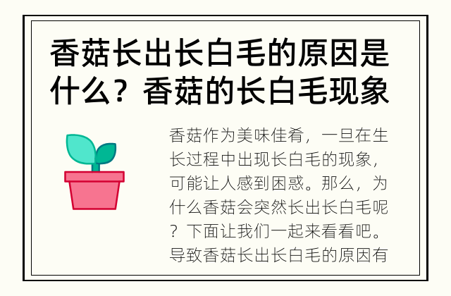 香菇长出长白毛的原因是什么？ 香菇的长白毛现象究竟是什么导致的呢？